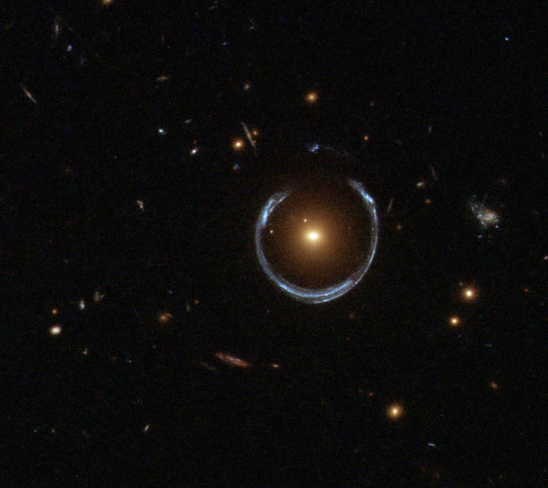 The Cosmic Horseshoe gravitational lense