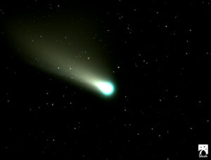 A Comet in Motion