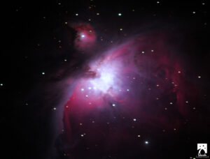 The Orion Nebula (M42)
